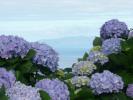 Ballade autour d Horta