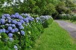 Ballade autour d Horta