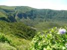 HORTA