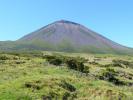 Pico